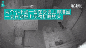 开元网站