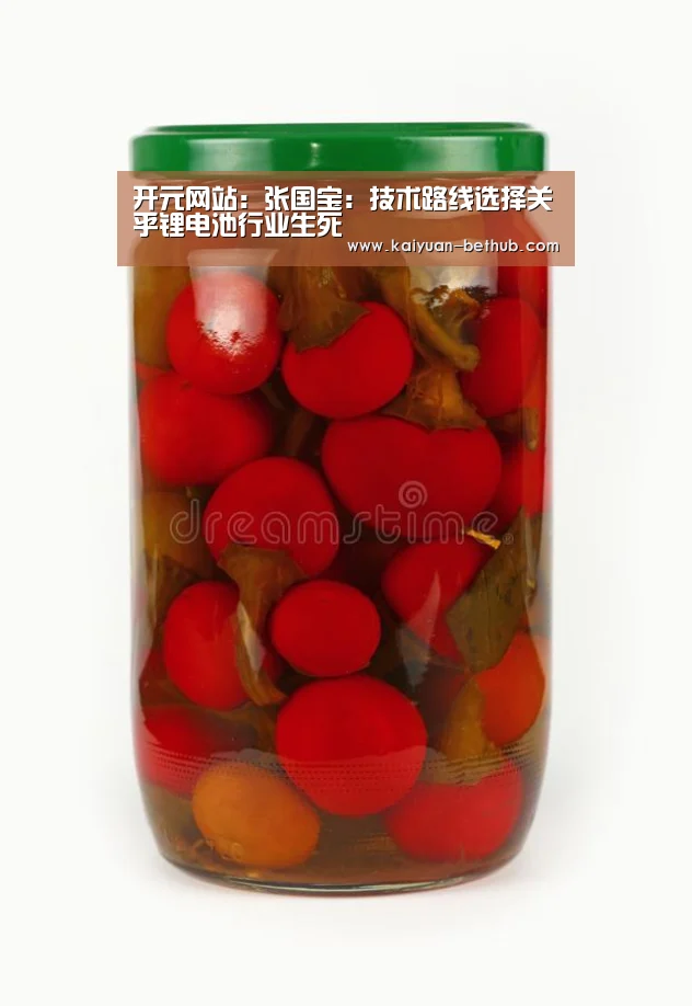 开元网站:张国宝:技术路线选择关乎锂电池行业生死(图4) 开元网站