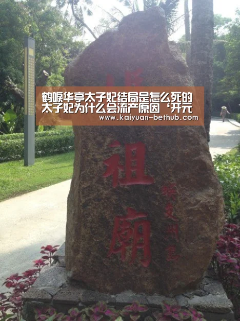 鹤唳华亭太子妃结局是怎么死的 太子妃为什么会流产原因‘开元游戏’(图4) 开元网站
