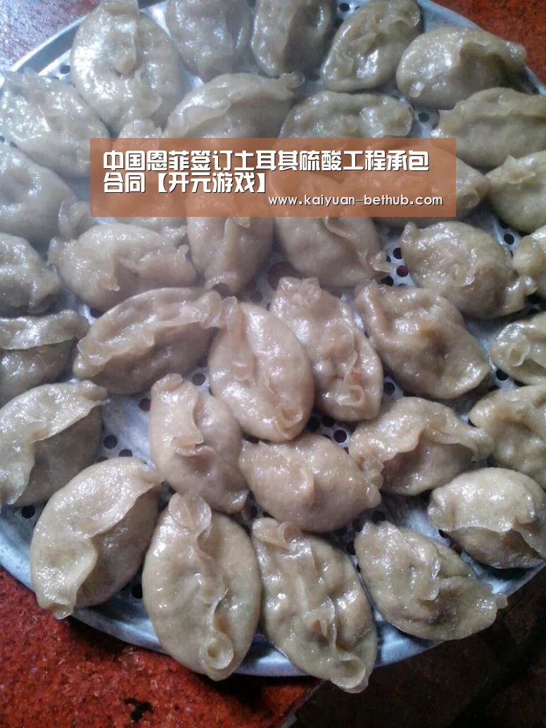 中国恩菲签订土耳其硫酸工程承包合同【开元游戏】(图2) 开元赛事