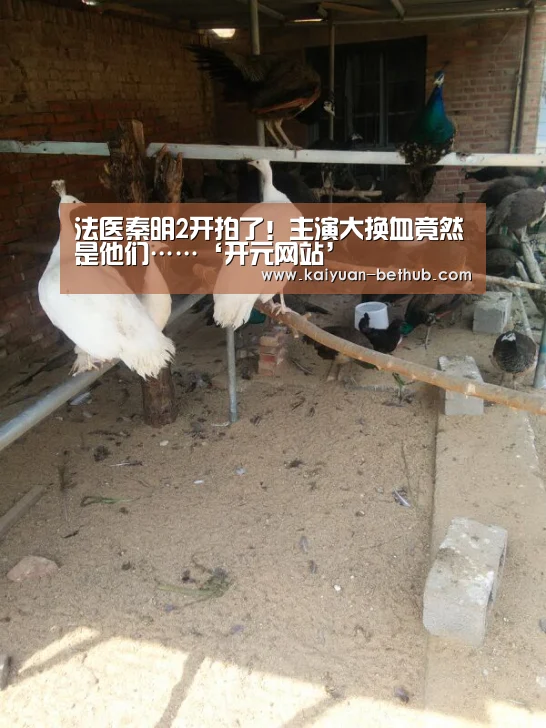 法医秦明2开拍了!主演大换血竟然是他们……‘开元网站’(图1) 开元网站