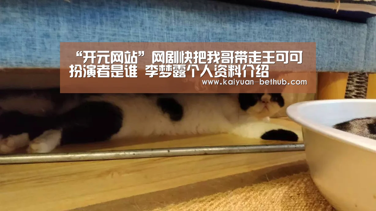 “开元网站”网剧快把我哥带走王可可扮演者是谁 李梦露个人资料介绍(图1) 开元游戏