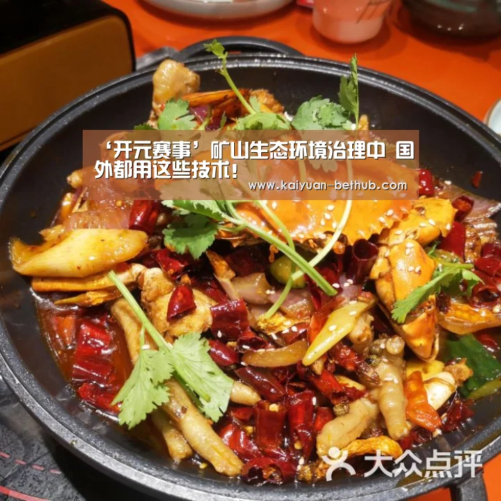 ‘开元赛事’矿山生态环境治理中 国外都用这些技术!(图1) 开元游戏