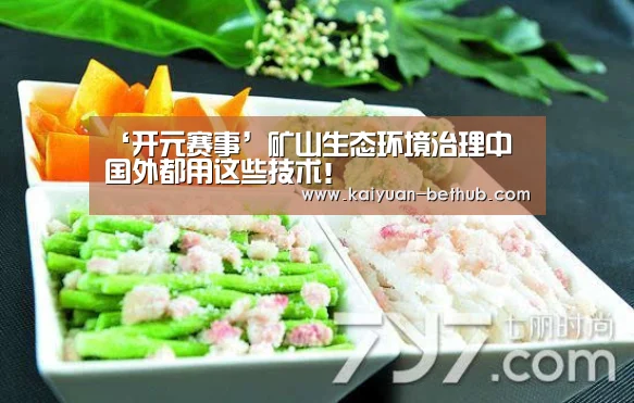 ‘开元赛事’矿山生态环境治理中 国外都用这些技术!(图2) 开元热点