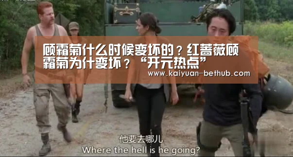 顾霜菊什么时候变坏的?红蔷薇顾霜菊为什变坏?“开元热点”(图4) 开元网站